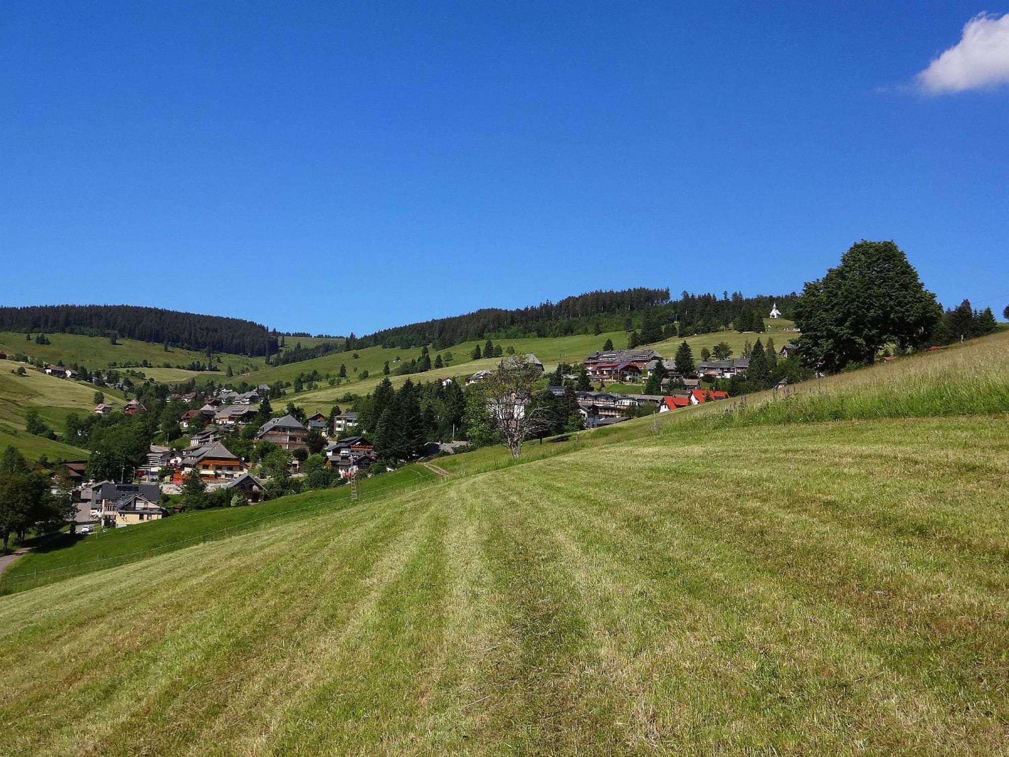 Apartment Haus Schoeneck *