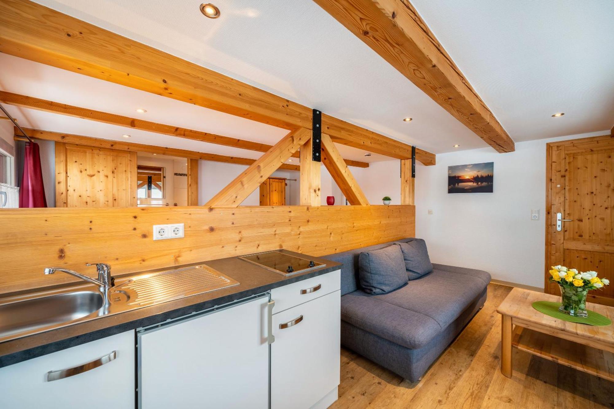 Haus Schoeneck Apartment Todtnauberg